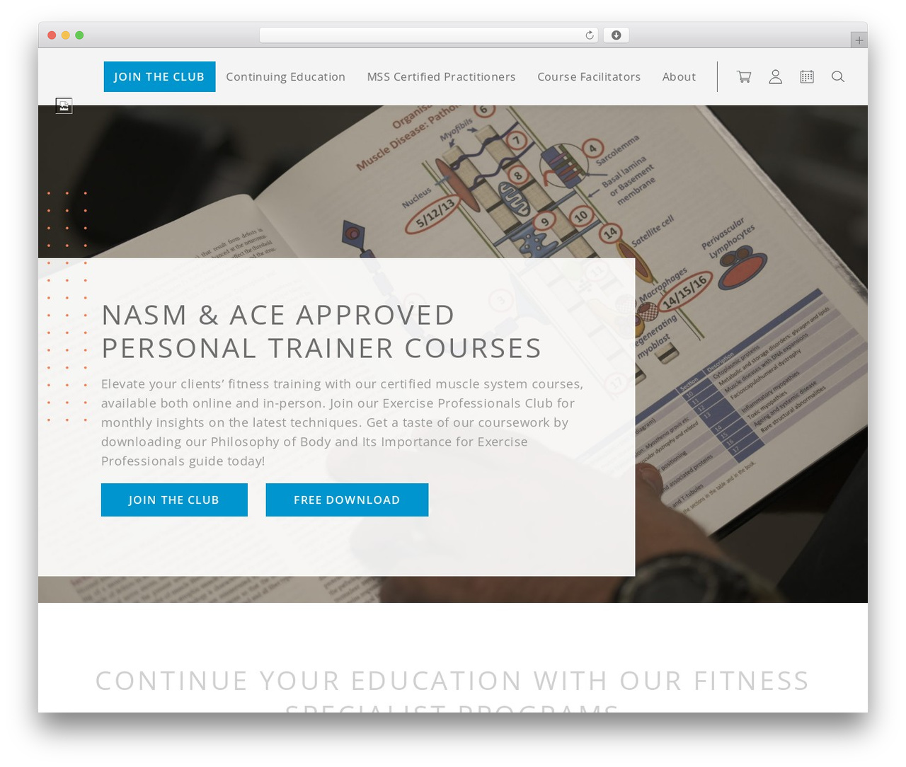 Exercise Professional Education theme WordPress - exerciseproed.com Exercise Professional Education theme WordPress - exerciseproed.com