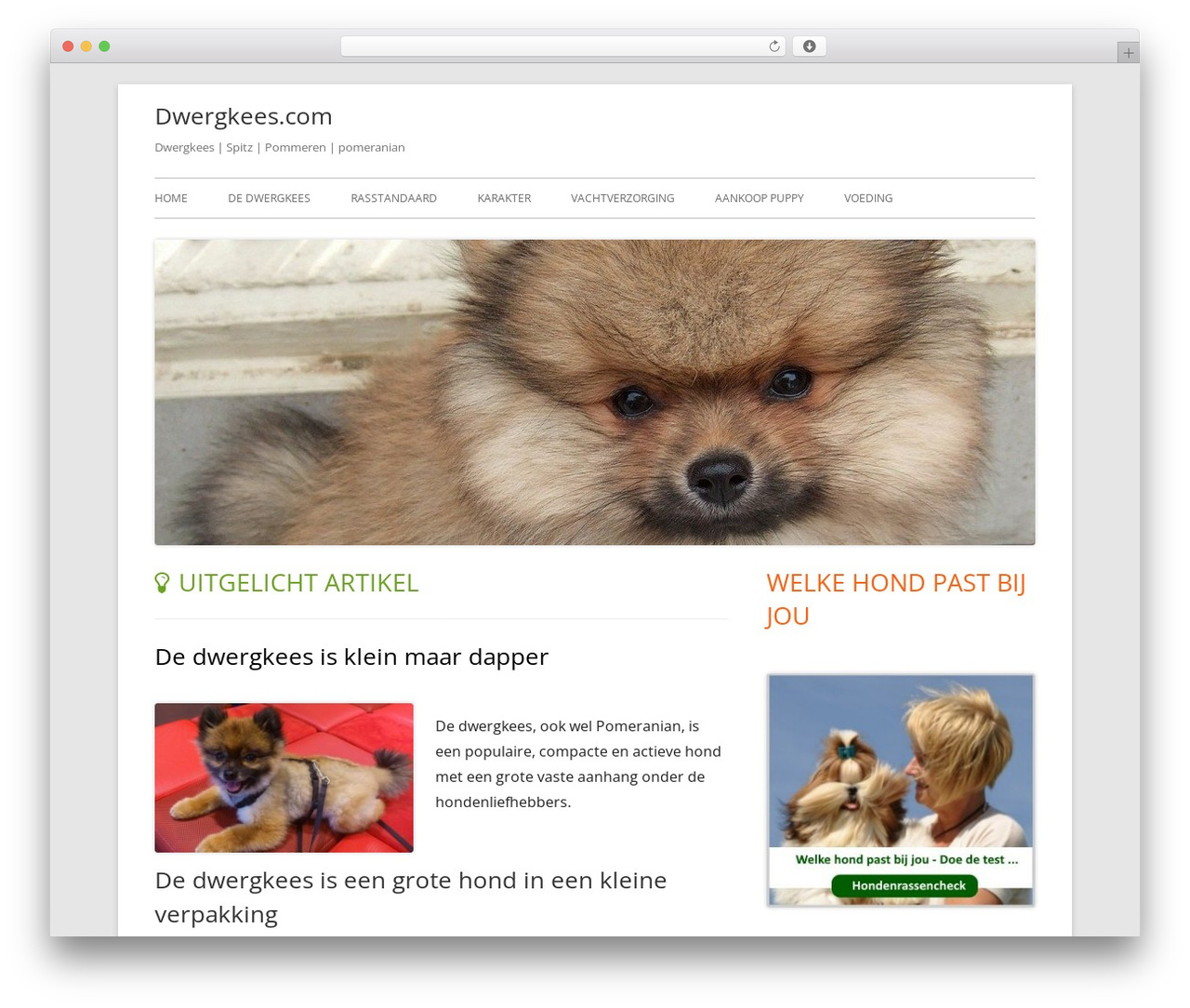 Tiny Framework free website theme - dwergkees.com Tiny Framework free website theme - dwergkees.com