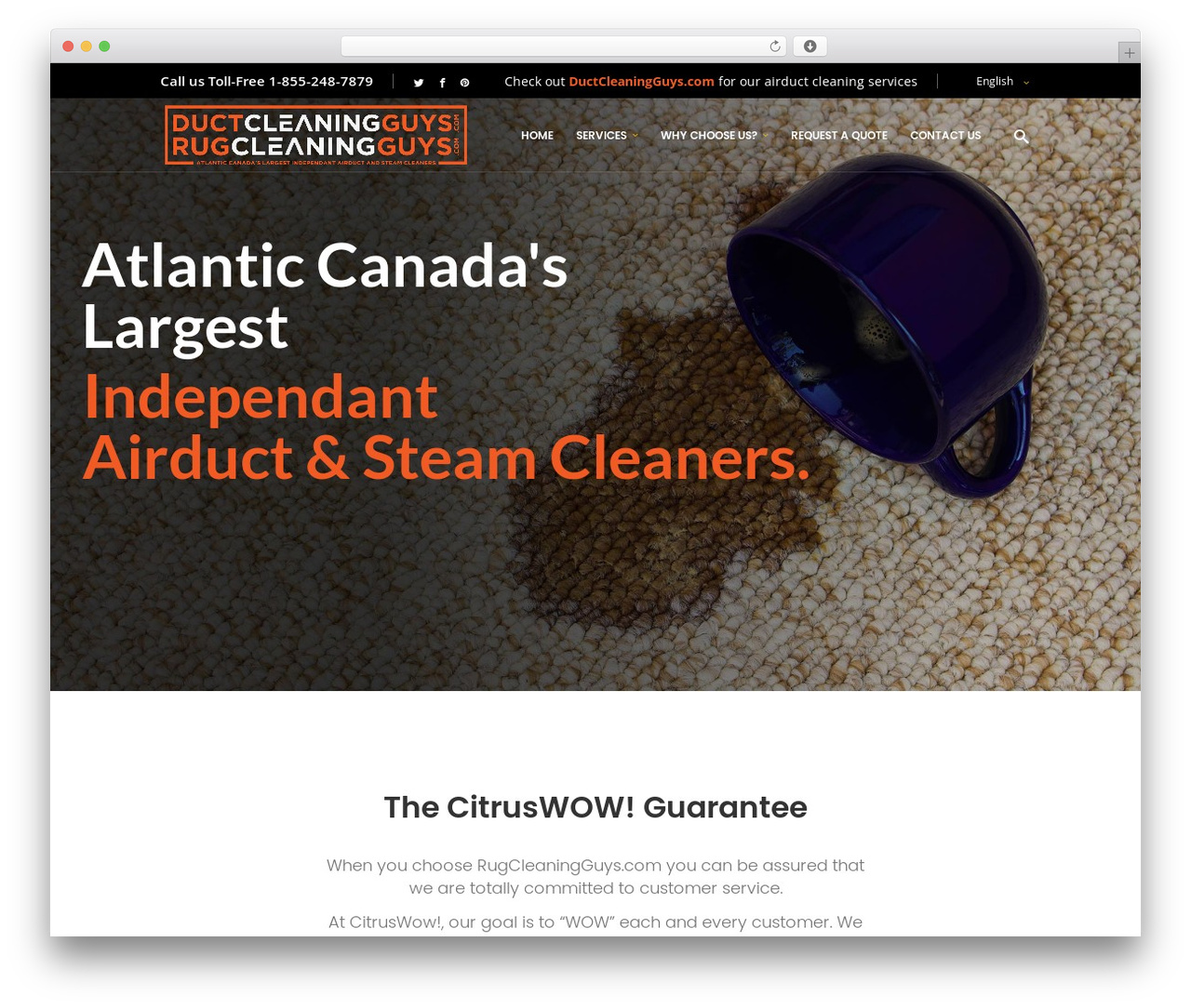 WordPress theme Node - rugcleaningguys.com WordPress theme Node - rugcleaningguys.com