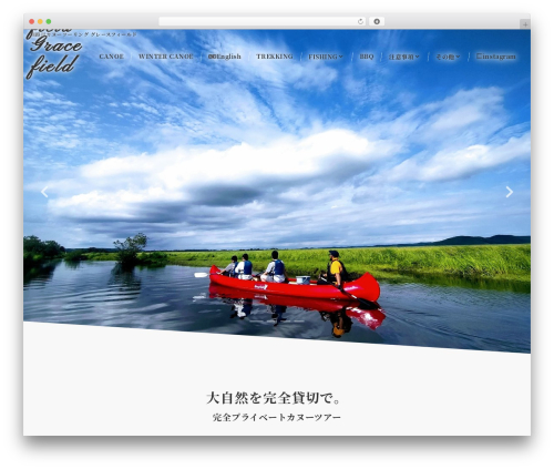 WP theme Emanon Business - gracefield946.com