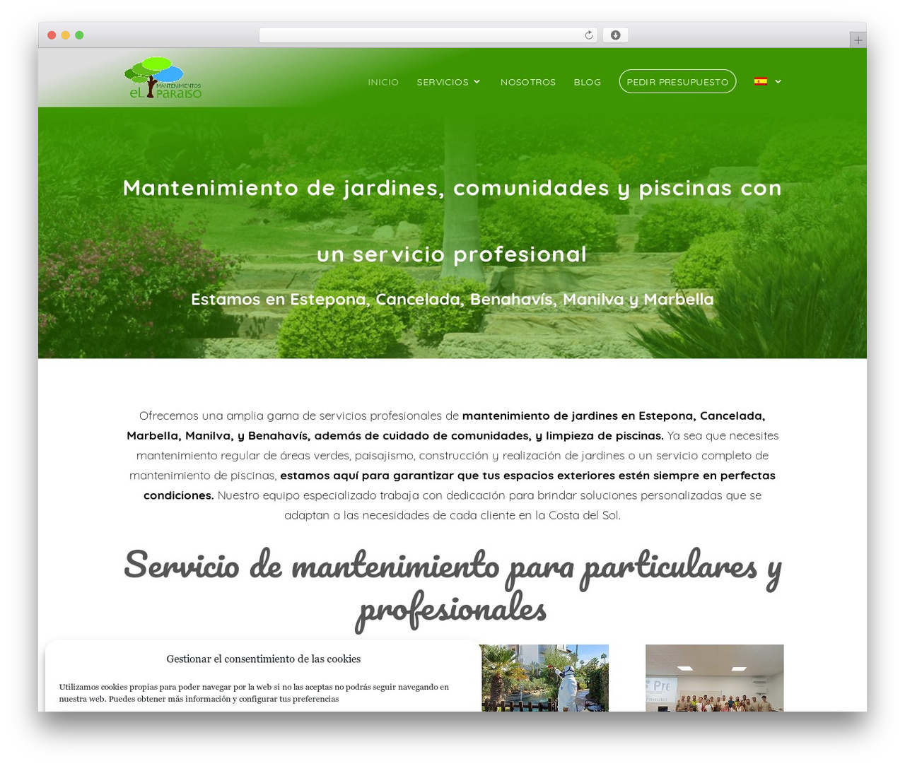 Divi theme WordPress - mantenimientoselparaiso.es