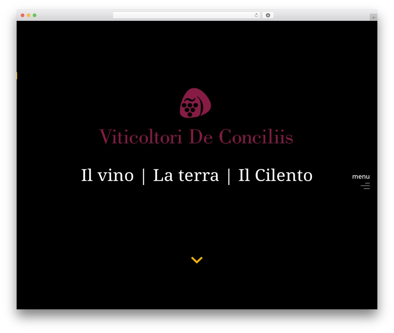 Divi WordPress theme - viticoltorideconciliis.it