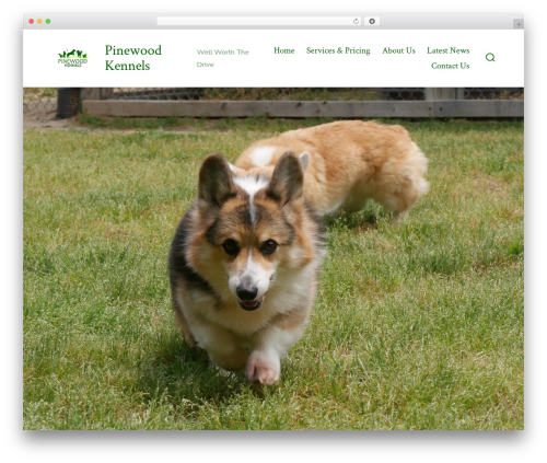 Same Height (same-height) free WordPress plugin - pinewoodkennels.com Same Height (same-height) free WordPress plugin - pinewoodkennels.com