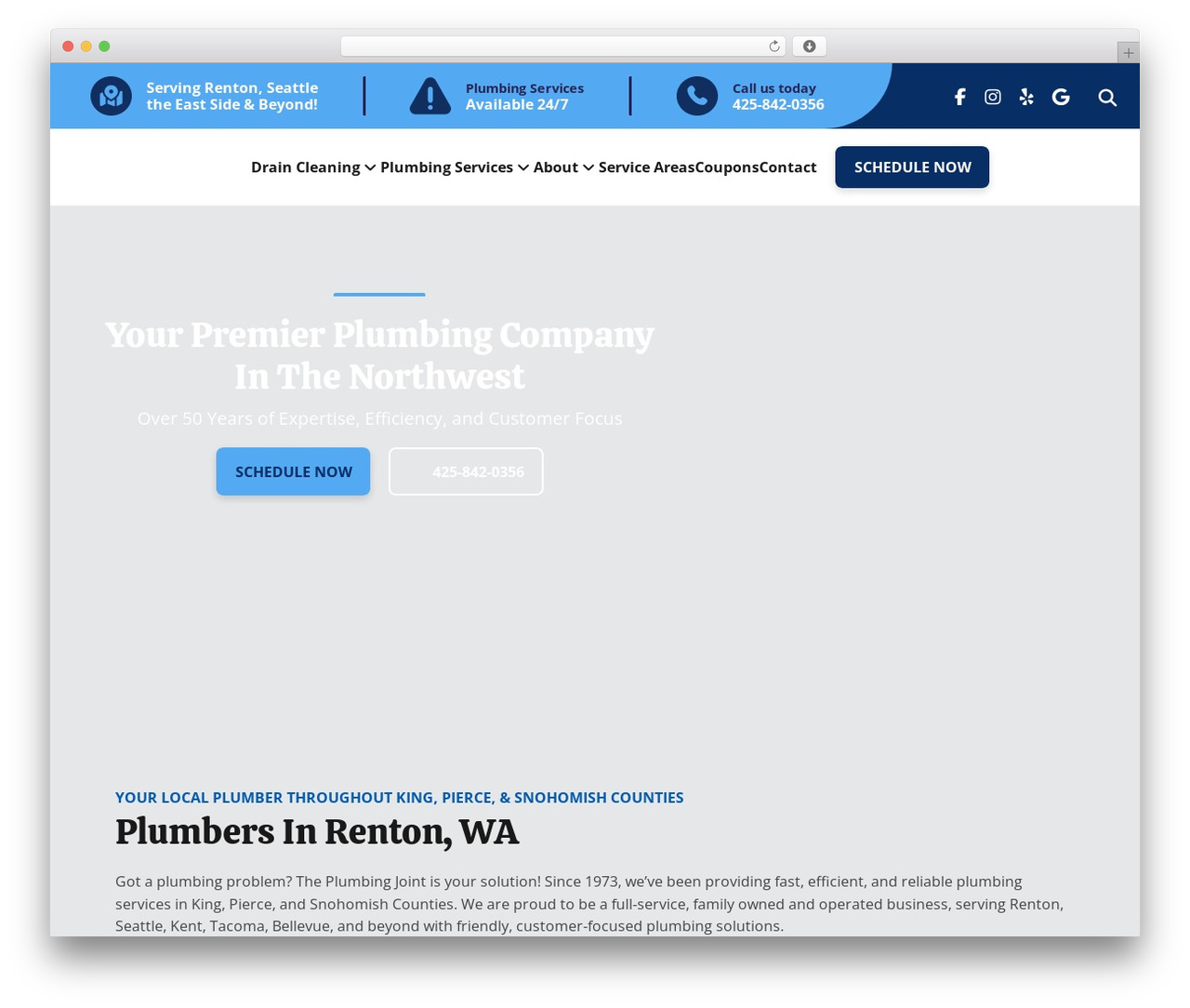 Pro WordPress theme - www.plumbingjoint.com