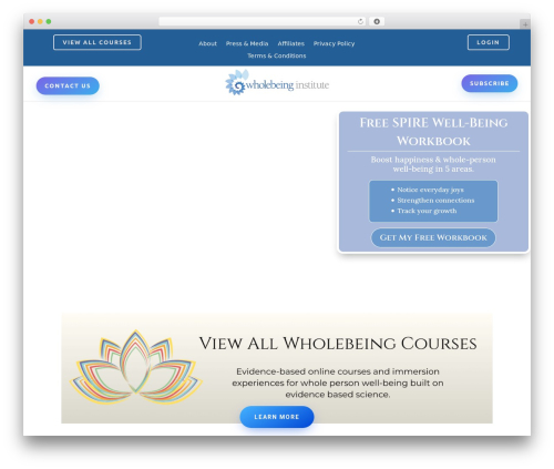 Divi testimonial slider WordPress plugin - wholebeinginstitute.com