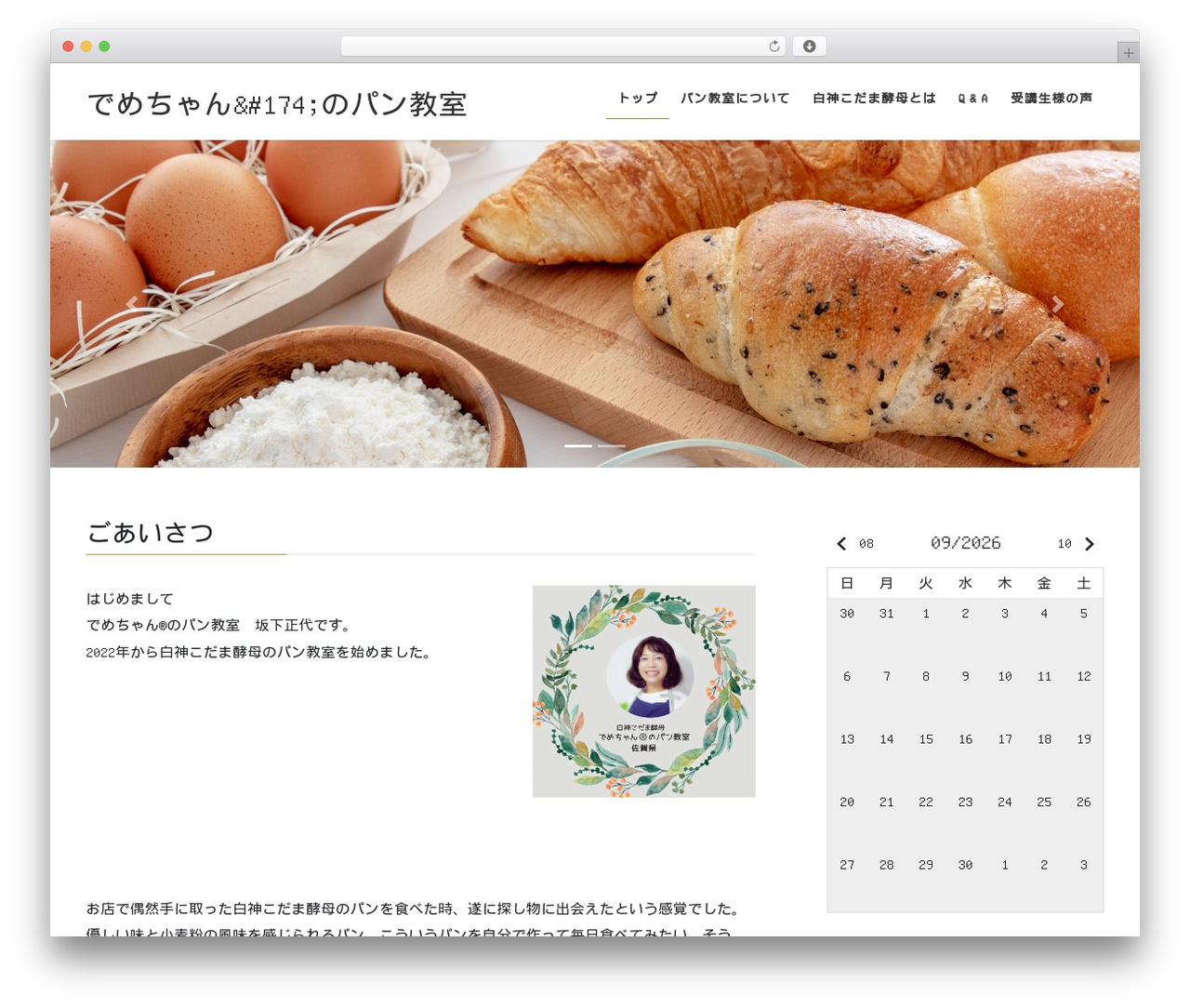 WordPress theme Lightning - pandemechan.com