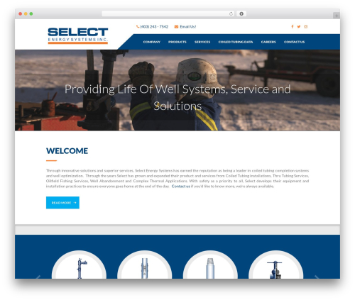 WordPress theme selectesi - selectesi.com