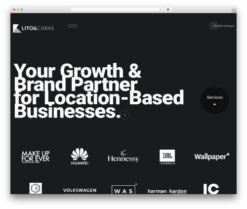Alioth theme WordPress - litocaras.com
