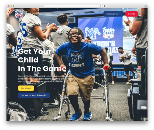 Hello Elementor WordPress theme - teamimpact.org