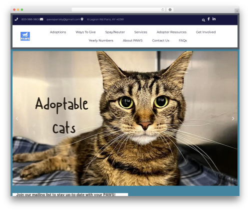 Hello Elementor WordPress theme - pawspets.org