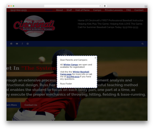 Sport WordPress theme - cincinnatimasonbaseballschool.com