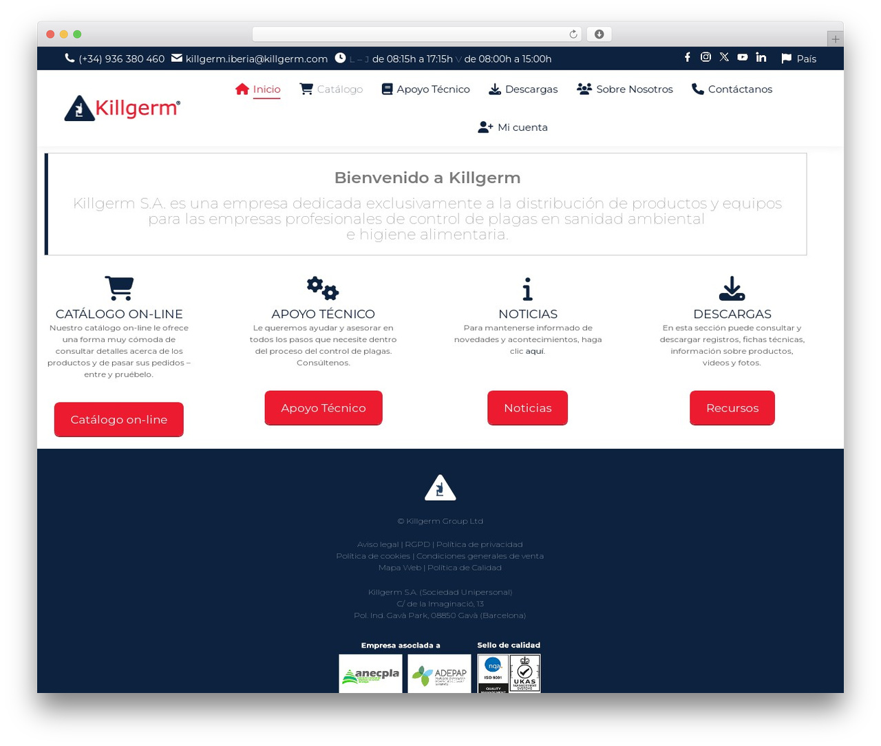 The7child WordPress theme - killgerm.es The7child WordPress theme - killgerm.es