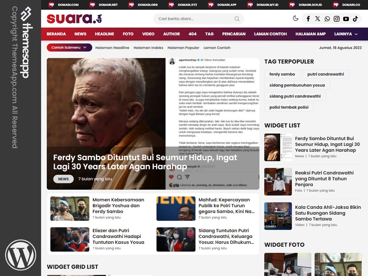 WordPress theme SuaraWP - Versi Basic by ThemesApp.com