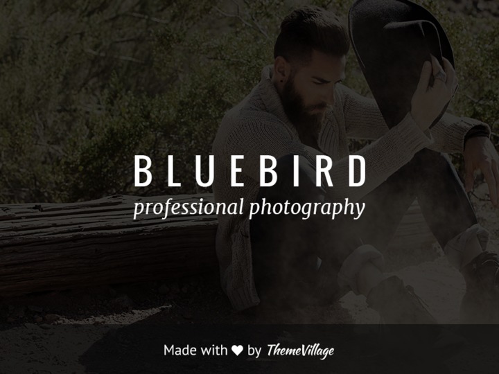 Bluebird Theme WordPress gallery theme by Colormelon