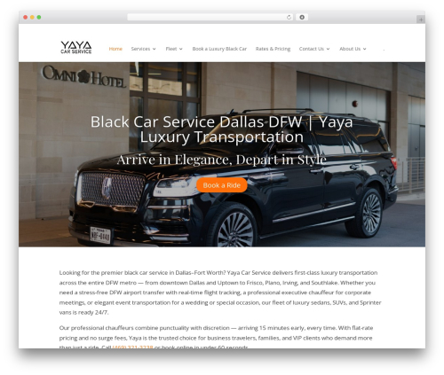 Next image effect lite WordPress plugin - yayacarservice.com