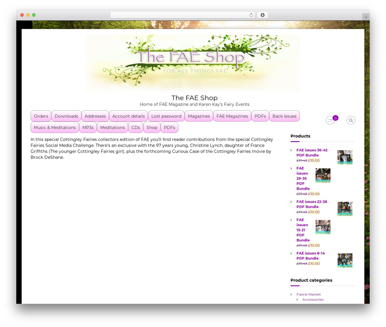 Flash WordPress ecommerce theme - thefaeshop.com