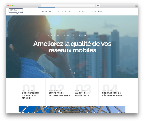 Techlink core WordPress plugin - lillybelle.eu