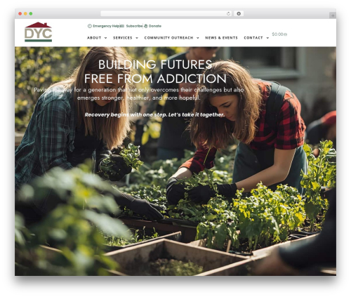 WordPress theme Hello Elementor - dycinc.org