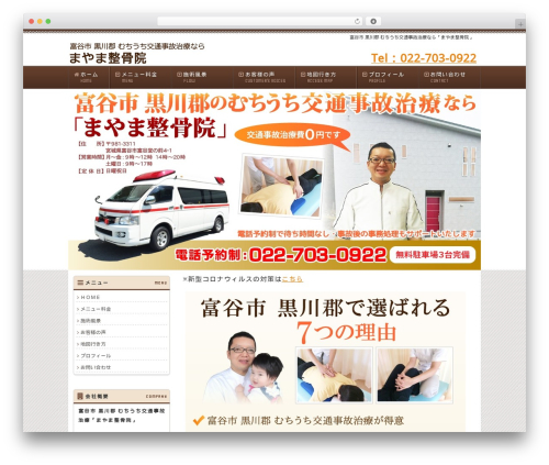 1FrameWorks theme WordPress - mayamaseikotuin-jiko.com