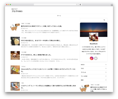 St lazy load WordPress plugin - blog-vibes.com
