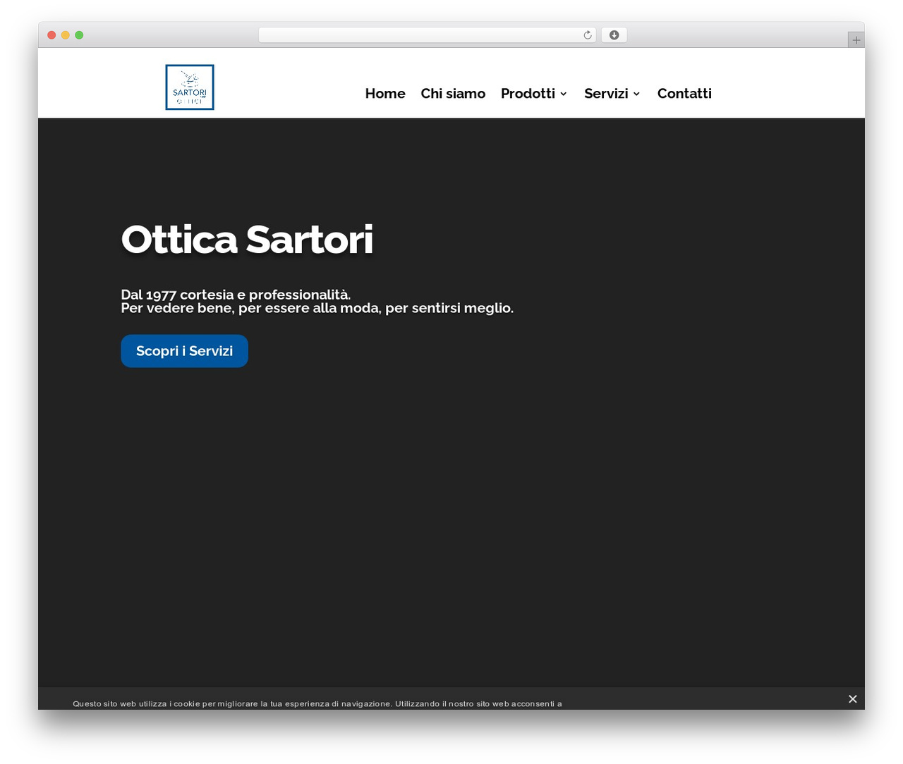 Divi WordPress theme design - otticasartori.it