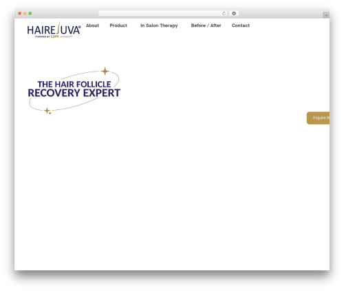 Bwd timeline WordPress plugin - hairejuva.com