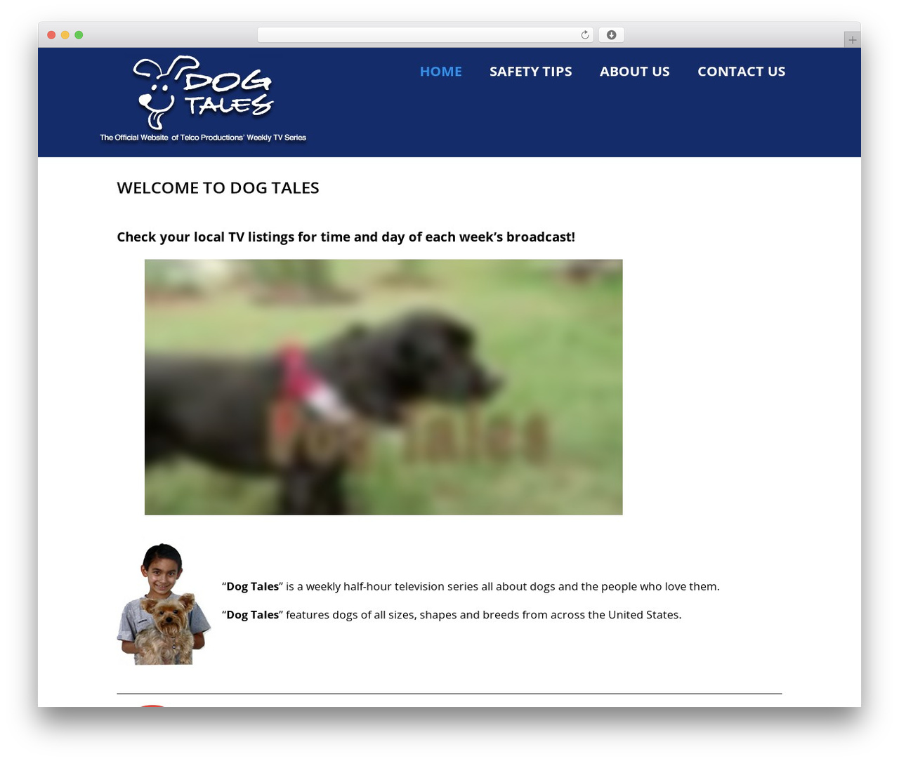 Optimizer PRO WP theme - dogtalestv.com Optimizer PRO WP theme - dogtalestv.com