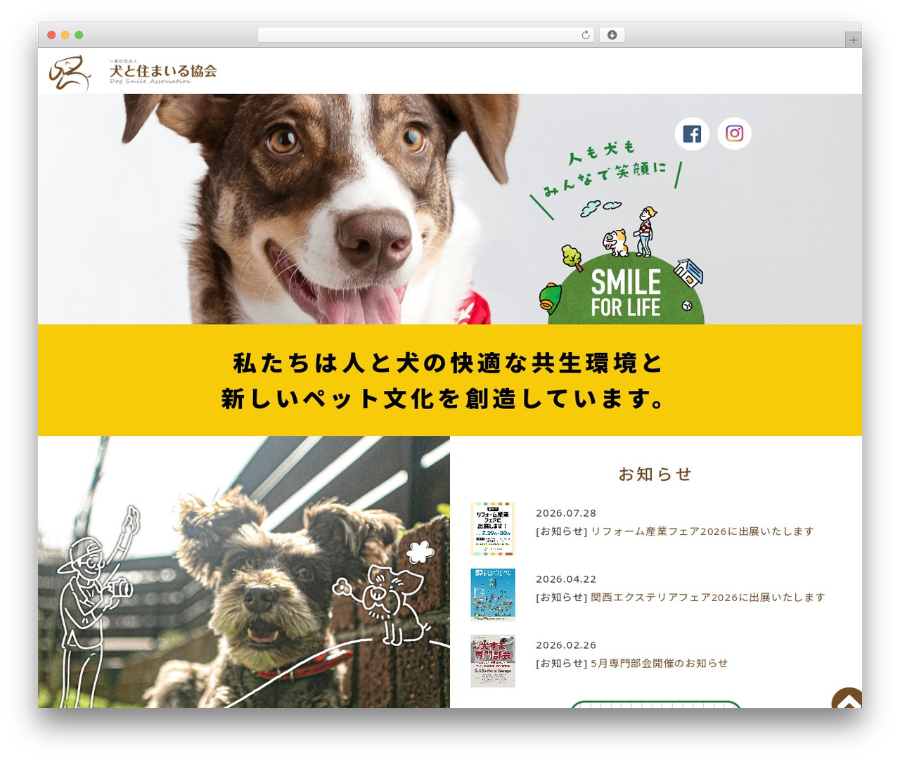 TEMPLATE theme WordPress - inusuma.org
