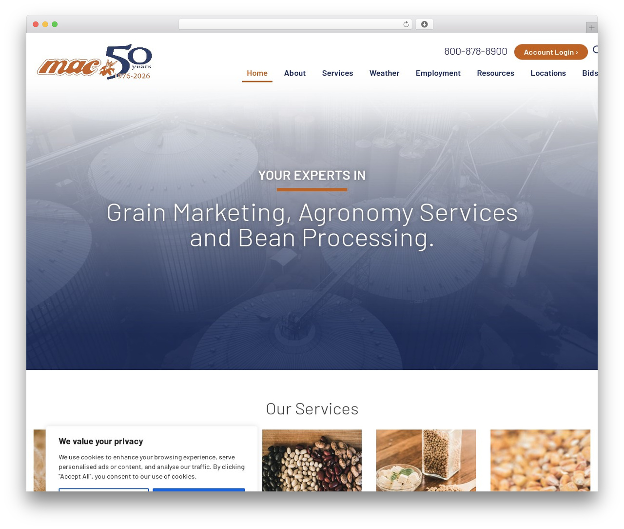 Theme WordPress Alpha - michag.com Theme WordPress Alpha - michag.com