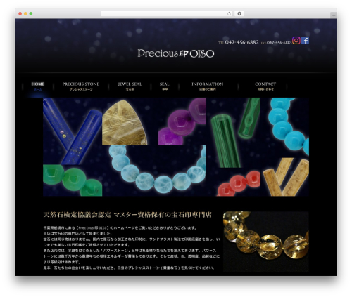 Themify Basic theme WordPress - precious-in-oiso.com