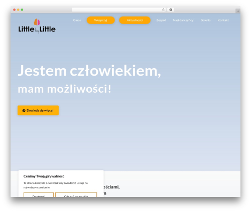 Themify Popup (themify-popup) free WordPress plugin - littlebylittle.pl