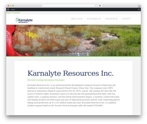 X email mailchimp WordPress plugin - karnalyte.com