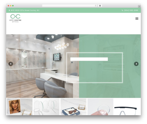 Themestek optico extras WordPress plugin - citycentreoptical.ca