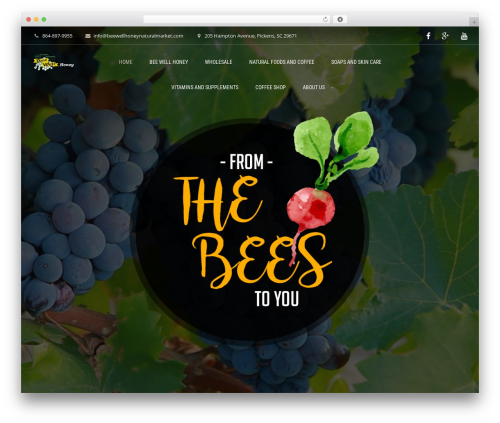 Wyde core WordPress plugin - beewellhoneynaturalmarket.com