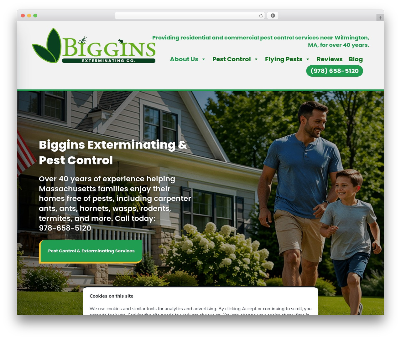 WordPress theme Divi - bigginsexterminating.com