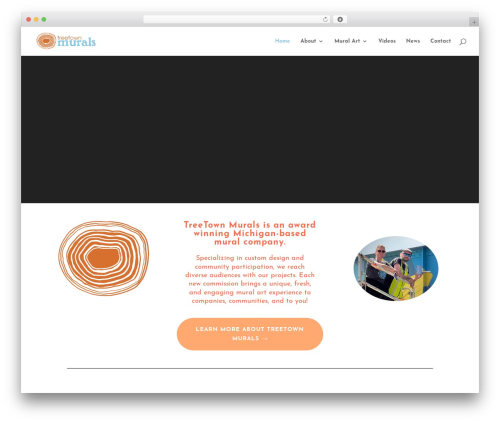Wp_media_boxes WordPress plugin - treetownmurals.com