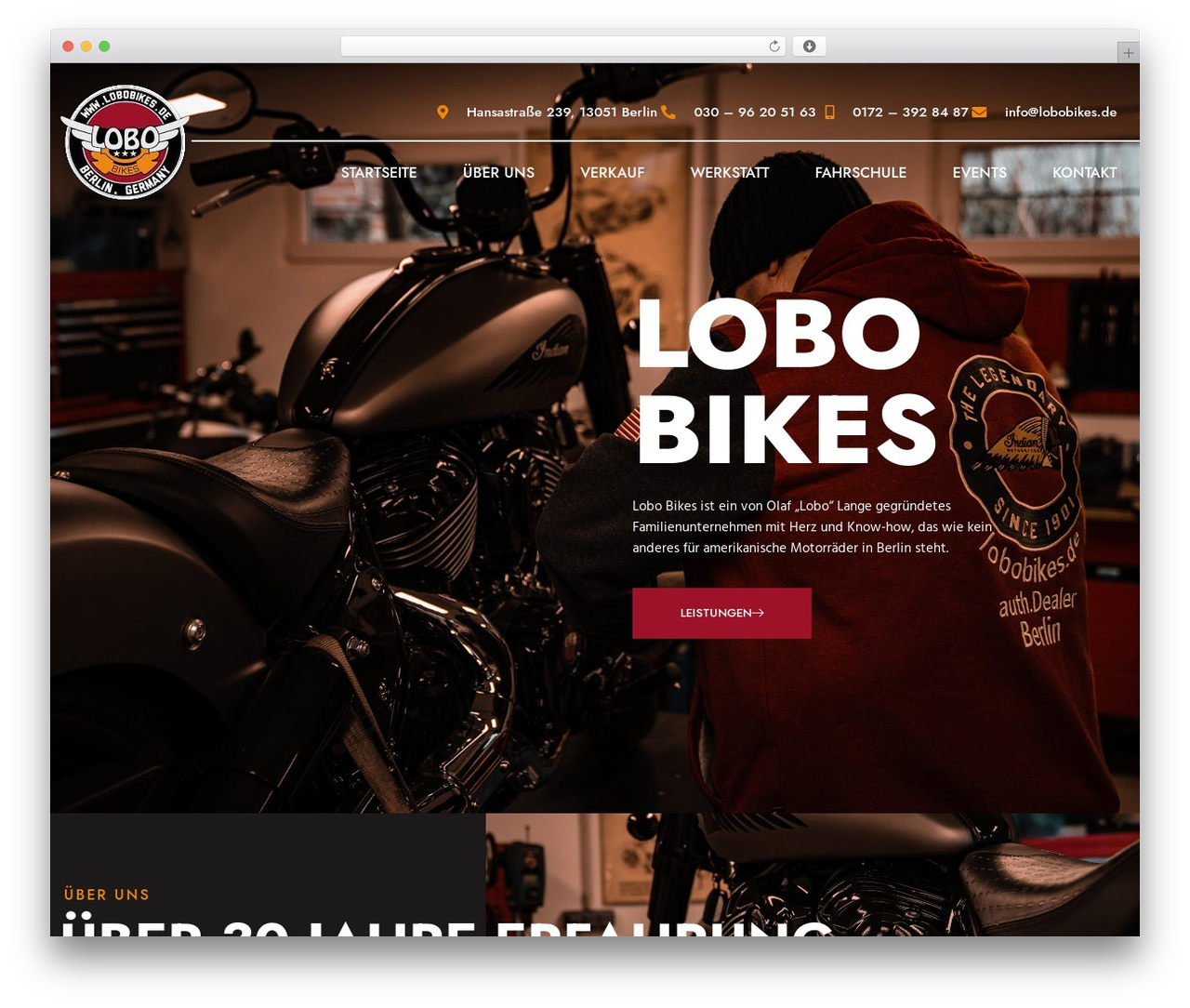 Hello Elementor theme WordPress - lobobikes.de