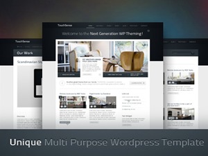 ISS WordPress theme by webii