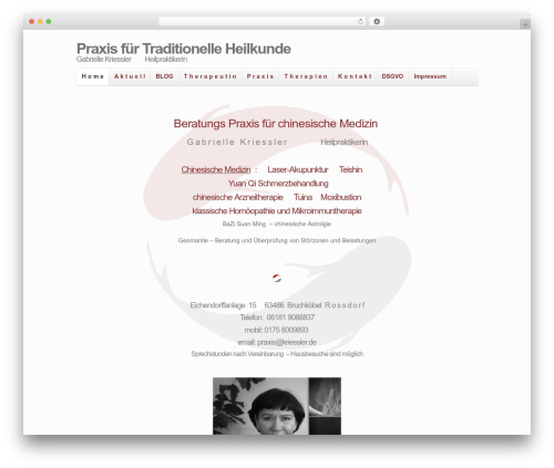 Skeleton theme WordPress - traditionelle-heilkunde.com