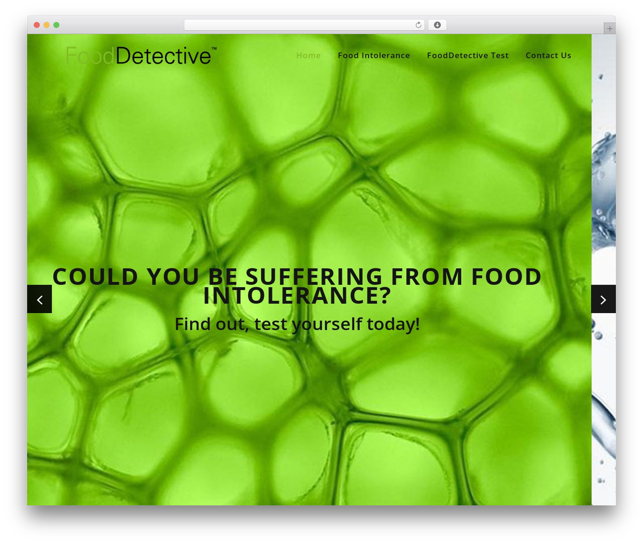 Specular theme WordPress - fdtest.me
