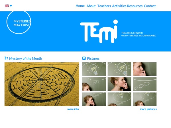 TEMI WordPress theme TEMI WordPress theme