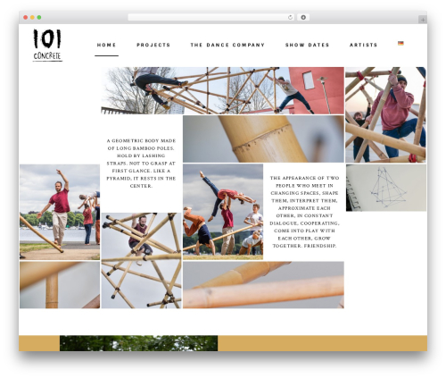 Bard shows WordPress plugin - 101concrete.de
