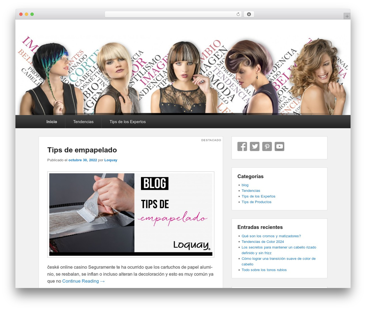 Theme WordPress Catch Evolution - tinteparaelcabello.com Theme WordPress Catch Evolution - tinteparaelcabello.com