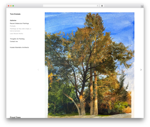 Touchfolio WordPress theme - tomkubala.com
