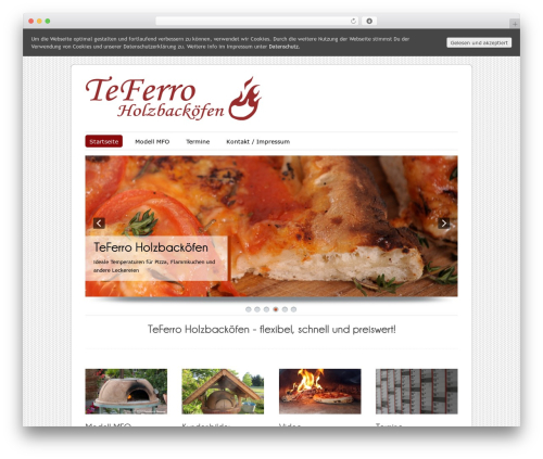 Grid gallery ready WordPress plugin - te-ferro.de
