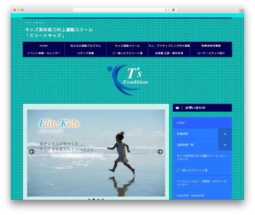 Pz-Talk (pz-talk) free WordPress plugin - ts-condition.com