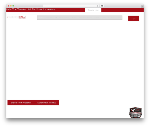 Wl elementor widgets WordPress plugin - thetraininghall.net