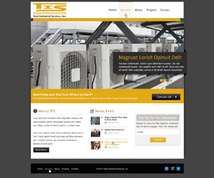 WordPress theme TIS by The Image Shoppe