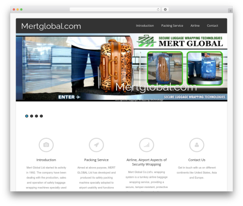 Asteria Lite WordPress theme - mertglobal.com