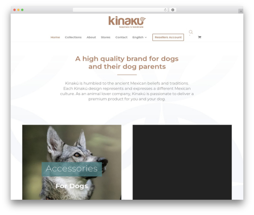 WordPress theme Divi - kinaku.ch